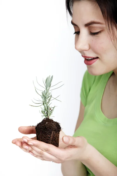Kvinne som holder en ung plante i hendene – stockfoto