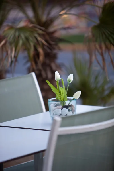 Arrangement élégant avec des tulipes sur une table pour deux — Photo