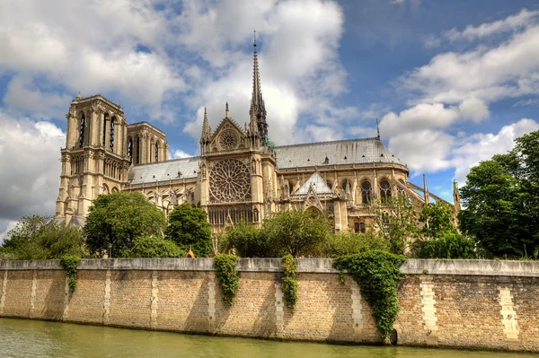 Notre Dame de Paris kathedraal. — Stockfoto