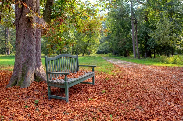 Lavička v parku podzimní. — Stock fotografie