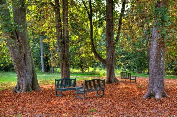 Drei Bänke im herbstlichen Park. — Stockfoto