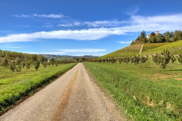 Route à travers les collines et les champs. Piémont, Italie . — Photo