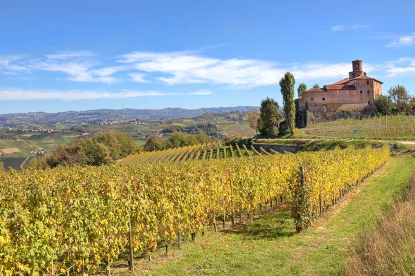 Wijngaarden en het oude kasteel. Piemonte, Italië. — Stockfoto