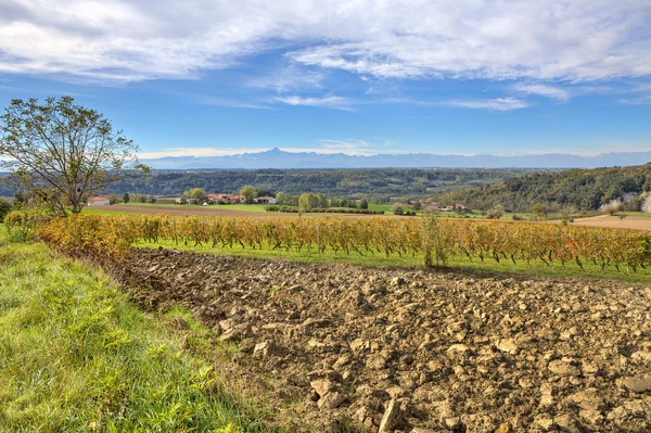 Fält och vingårdar. Piemonte, Italien. — Stockfoto