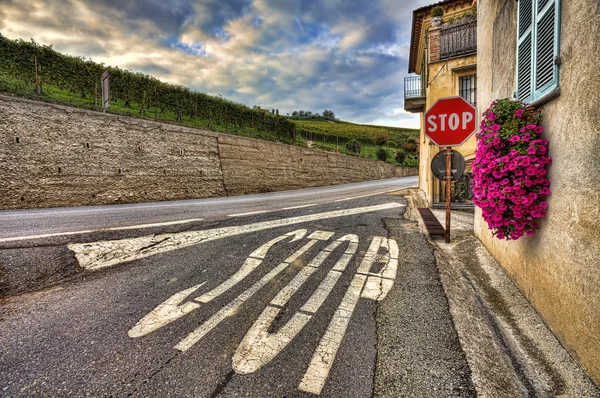 Strada tra casa e vigneti. Piemonte, Italia . — Foto Stock