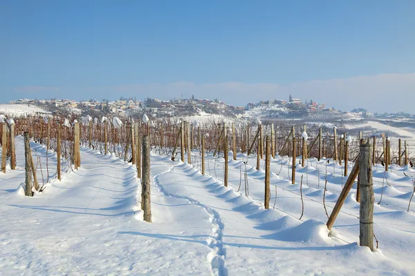 Vineyards under the snow. — Stock Photo, Image