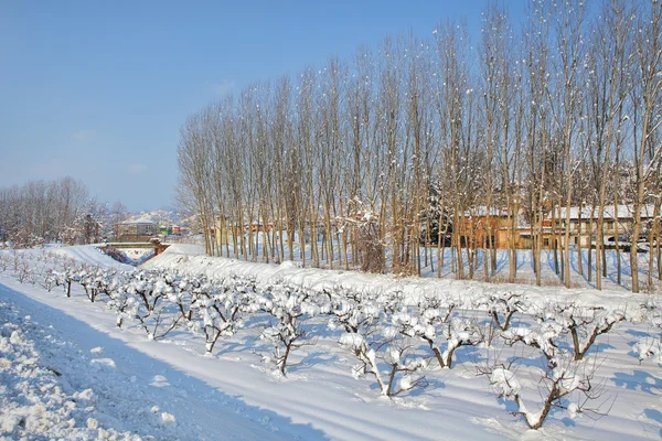 Campos nevados en un día soleado. Piamonte, Italia . — Foto de Stock