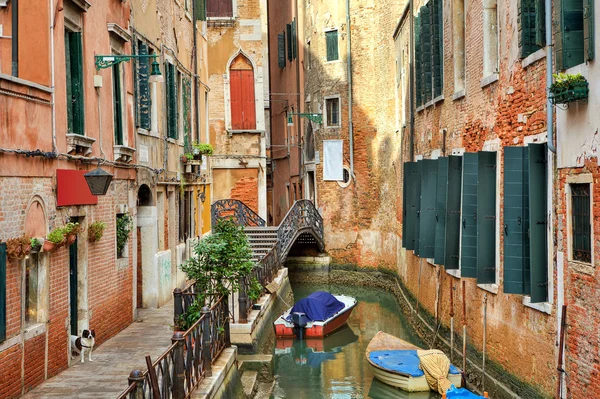 Pequeño canal entre edificios. Venecia, Italia . — Foto de Stock