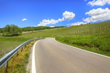 yol tepeler ve üzüm bağları ile. Piedmont, İtalya.