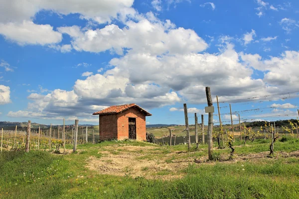 Casa rural entre viñedos. Piamonte, Italia . — Foto de Stock