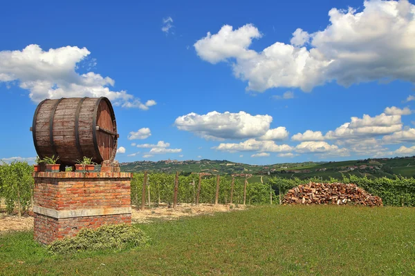 Beczki wina i winnice Piemontu, Włochy. — Zdjęcie stockowe