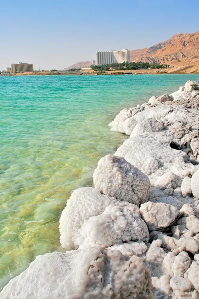 Le coste salate sul Mar Morto in Israele . — Foto Stock
