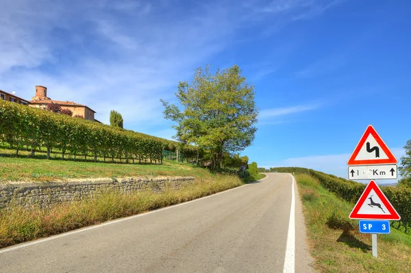 Üzüm bağları arasında yol. Piedmont, İtalya. — Stok fotoğraf