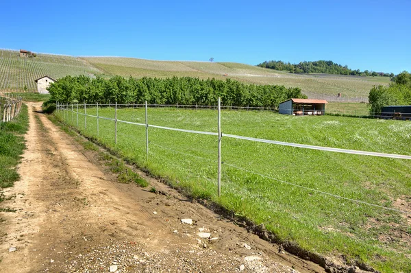 Camino rural a lo largo de pastizales verdes en Italia . —  Fotos de Stock
