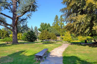 ahşap Bank valentino Park. Torino, İtalya.
