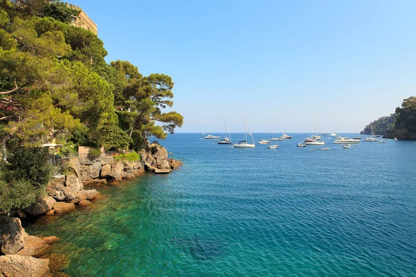 Liten vik bland klippor täckt med träd i portofino, Italien. — Stockfoto