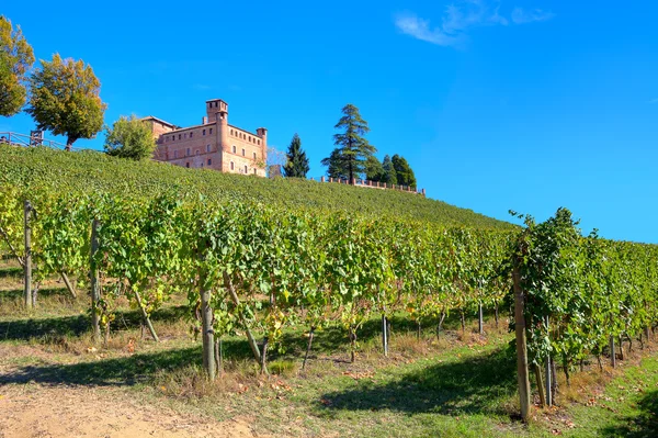 Antiguo castillo y viñedos en Piamonte, Italia . — Foto de Stock