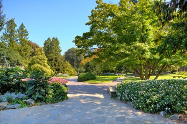 Parco del valentino, Torino, İtalya.