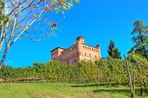 Középkori vár és a szőlőültetvények Piemonte, Olaszország. — Stock Fotó