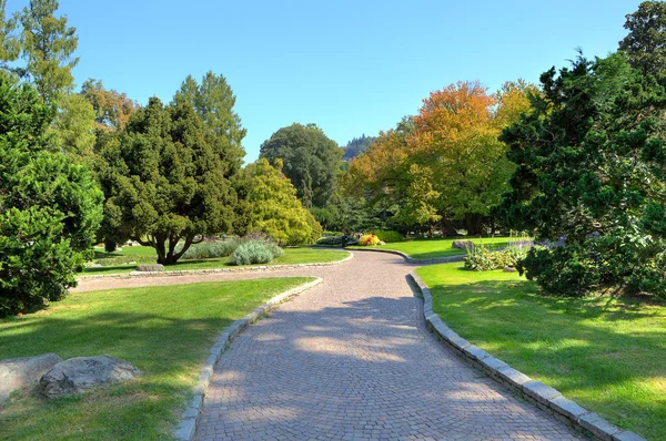 Sokakta parkta. Torino, İtalya. — Stok fotoğraf