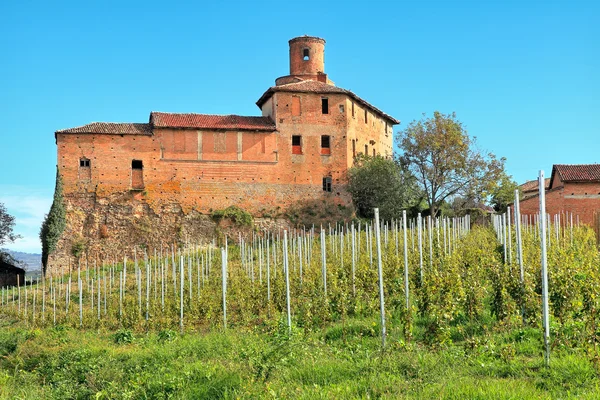 Öregvár és szőlőültetvények Piemonte, Olaszország. — Stock Fotó