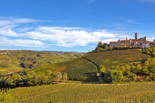 Petite ville italienne sur la colline avec vignobles . — Photo