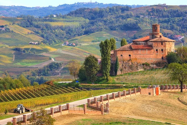 Eski kale ve üzüm bağları Piedmont, İtalya. — Stok fotoğraf