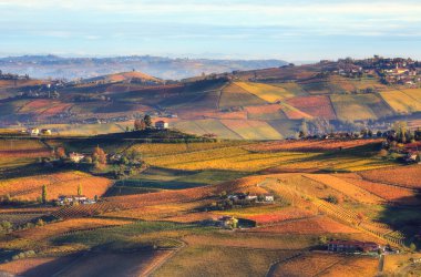 Hills and vineyards in autumn in Italy. clipart