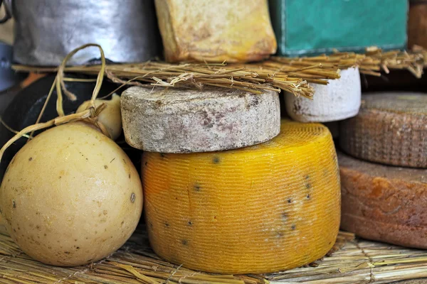 Ruedas de queso maduro en el soporte . —  Fotos de Stock