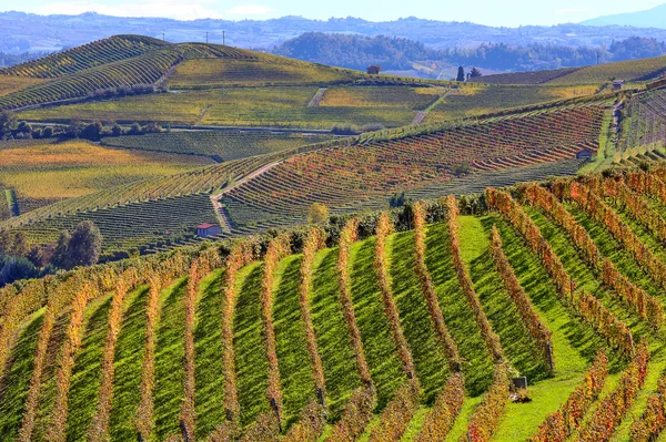 Colinas y viñedos en otoño en Piamonte, Italia . — Foto de Stock