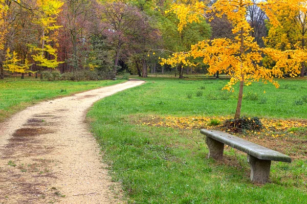 Footpath and bench in autumnal park. — Stock Photo, Image