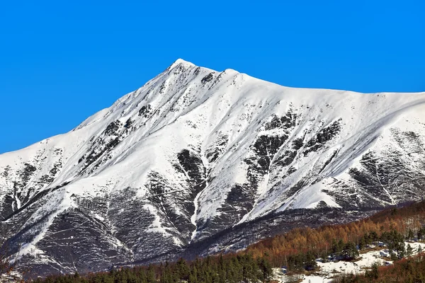 Szczyt góry pokryte śniegiem. — Stockfoto