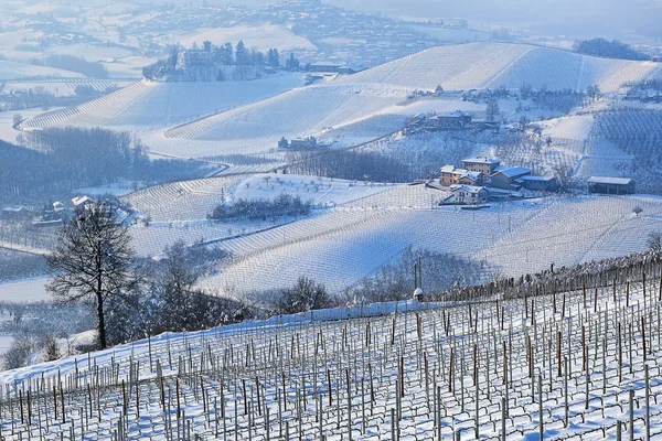 雪で覆われた丘とピエモンテのブドウ園. — ストック写真