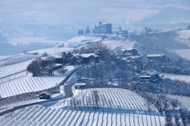 karlı tepeleri ve üzüm bağları İtalya üzerinden yol.