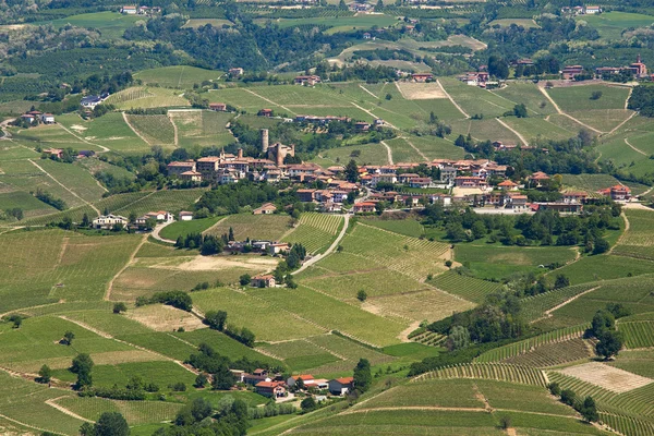 Zöld dombjai és szőlőültetvényei között Piemonte, Olaszország. — Stock Fotó