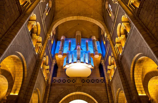 Cathedral interior and pipe organ. — Stock Photo, Image