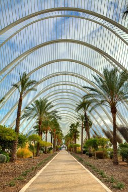 Palms city sanat ve Bilimler Valencia sokakta.