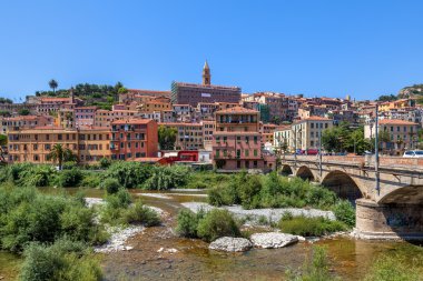nehir yatağı ve küçük bir kasaba görünümünde köprü üzerinden büyümüş.