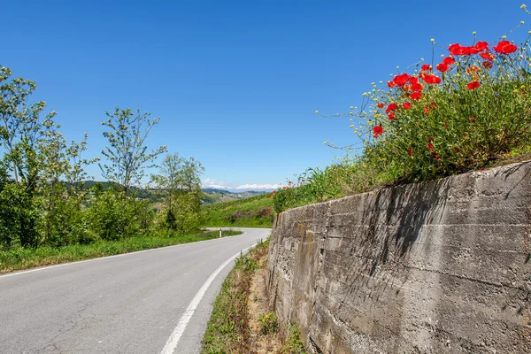 Road, gröna kullar och röd vallmo. — Stockfoto