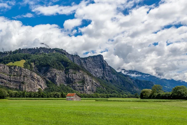 Sommaren landsbygdens scen i Tyskland. — Stockfoto