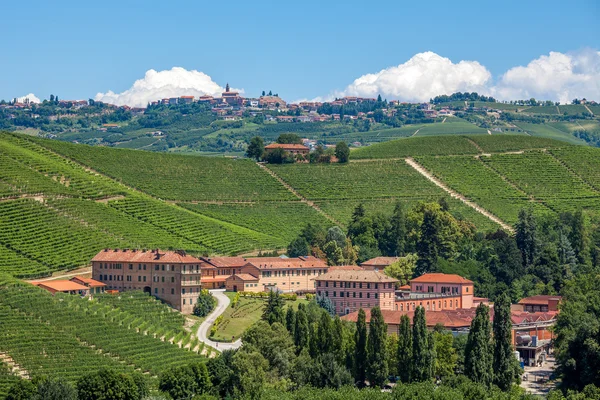 Üzüm bağları ve şarap Piedmont, İtalya. — Stok fotoğraf