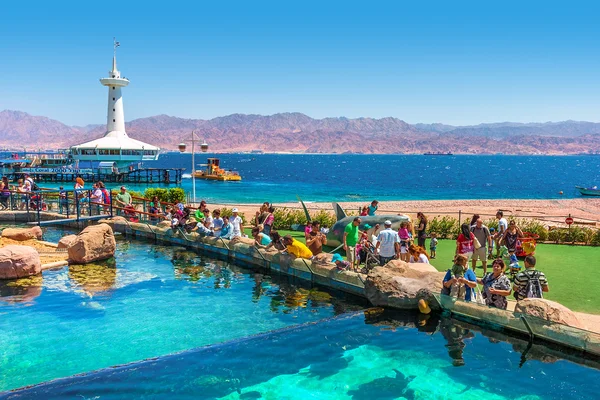 Eilat underwater observatory Marina park. — Stockfoto