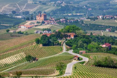piedmont, İtalya tepelerde kırsal yolda.