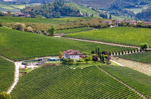 Винодельня и зеленые виноградники на холме в Италии . — стоковое фото