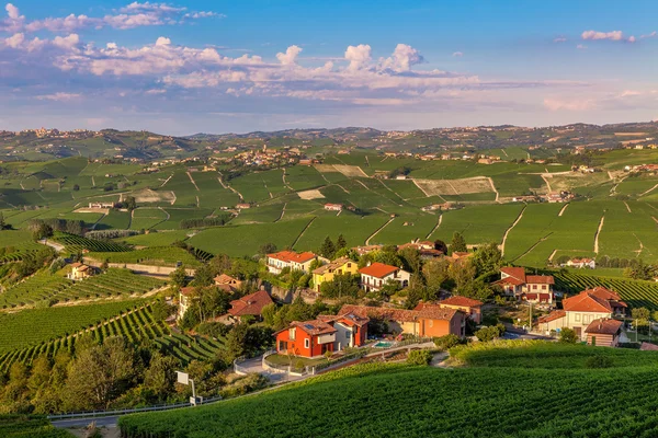 Klein dorp onder groene wijngaarden. — Stockfoto