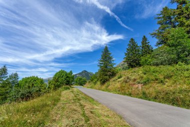 Dağlarda asfalt yol.
