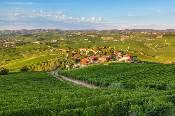 Klein dorp onder groene wijngaarden bij zonsondergang. — Stockfoto