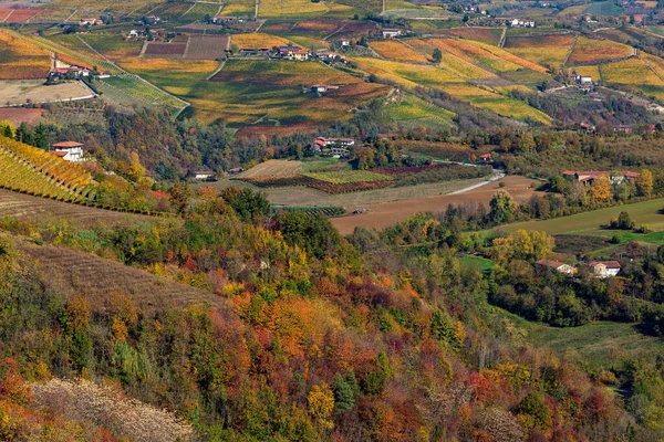 Widok Góry Kolorowe Jesienne Drzewa Wzgórza Winnicami Piemoncie Północne Włochy — Zdjęcie stockowe