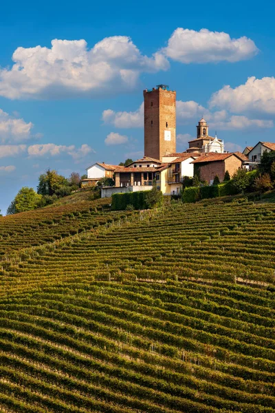 View Autumnal Vineyards Hill Old Tower Background Blue Sky Barbaresco — Stock Photo, Image