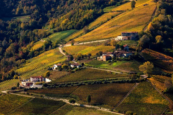 Wiejska Droga Domy Zboczu Wzgórza Wśród Kolorowych Winnic Jesiennych Piemoncie — Zdjęcie stockowe